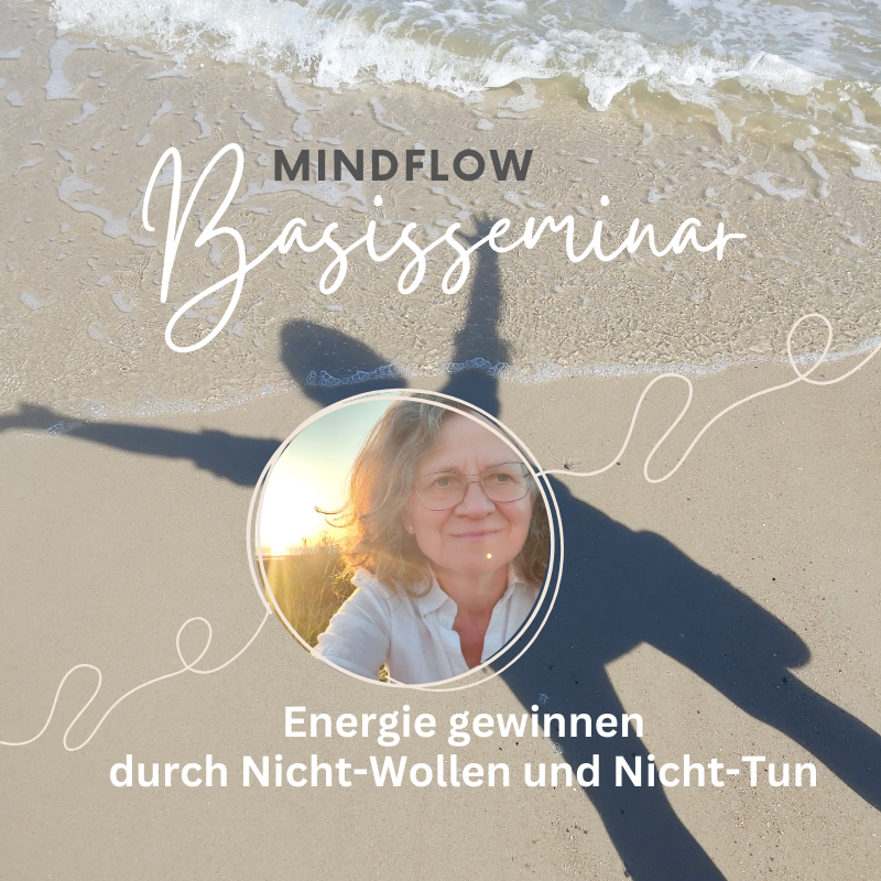 Mindflow Basisseminar Banner mit Foto von Angela Kiesewetter-Lorenz
